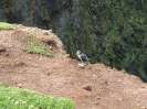 Skomer Island and Puffins_7